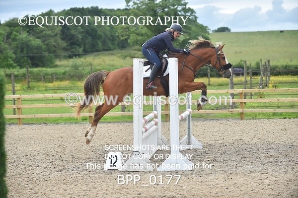 BPP_0177 - CLASS 2 Club/ Unaffiliated 80cms Open