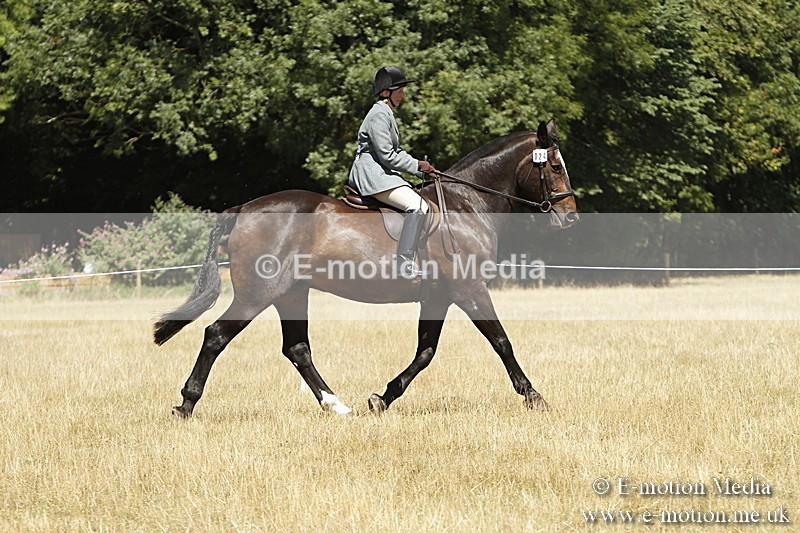 _BS_0846 - BVRC Show 2018 Ring 1