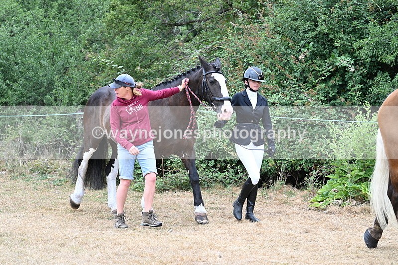 WJ7_8632 - Class 4a Prettiest Mare 14.2hh and over