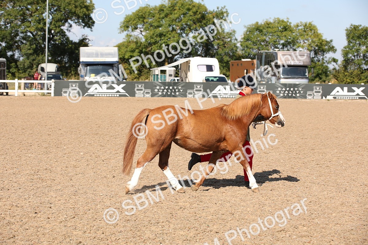 SBM_02754 - Class 16 IH M&M Wildcard