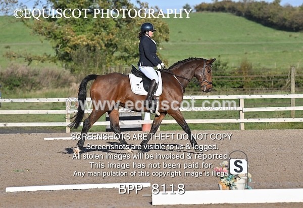 BPP_8118 - SHORT ARENA