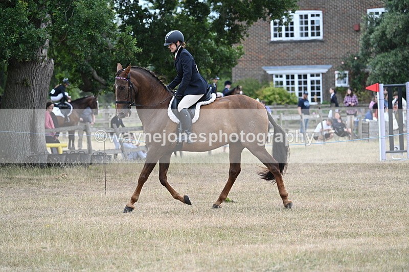 WJ7_0843 - Class 7 Riding Club Show Horse