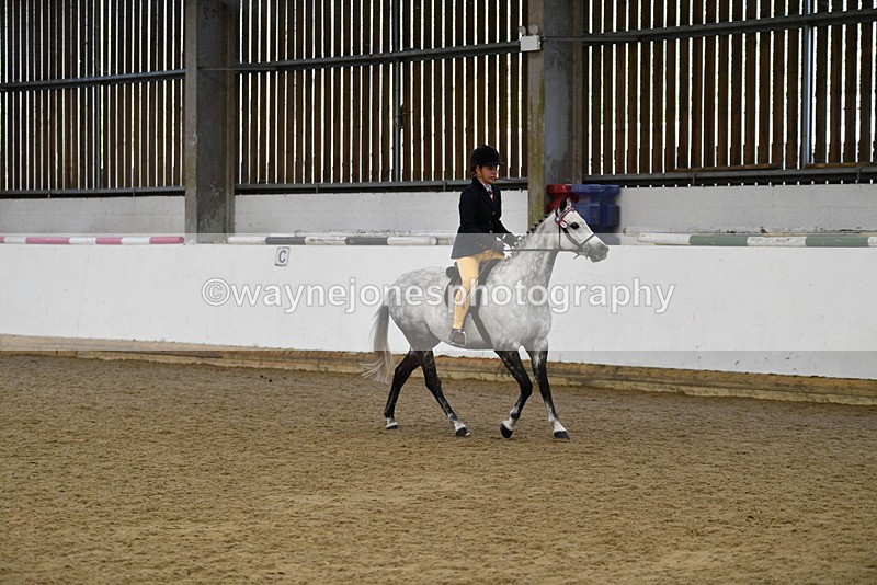 WJ5_7730 - Class 13 Ridden Part Breed