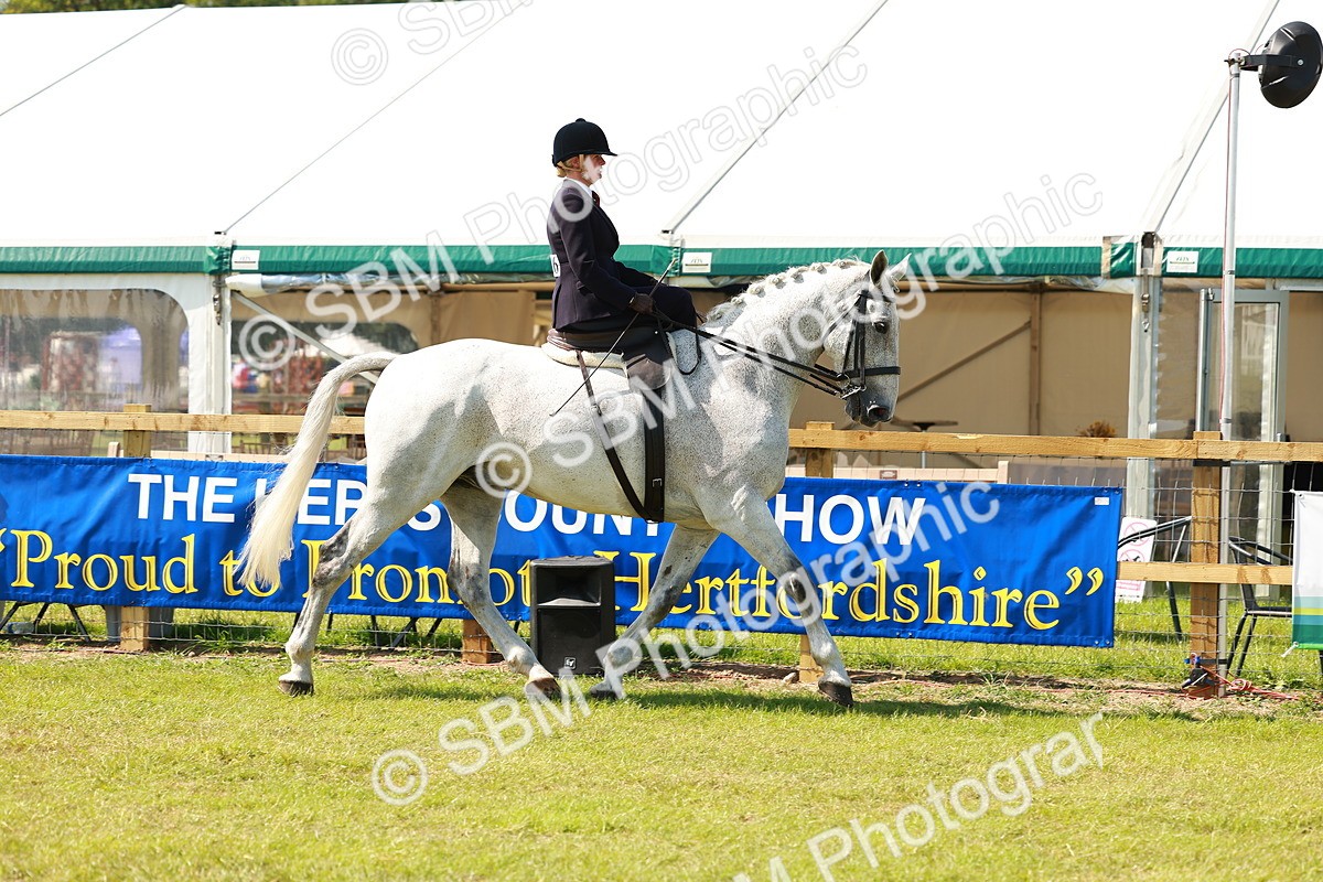 SBM_13312 - Class 70-71 - Side Saddle