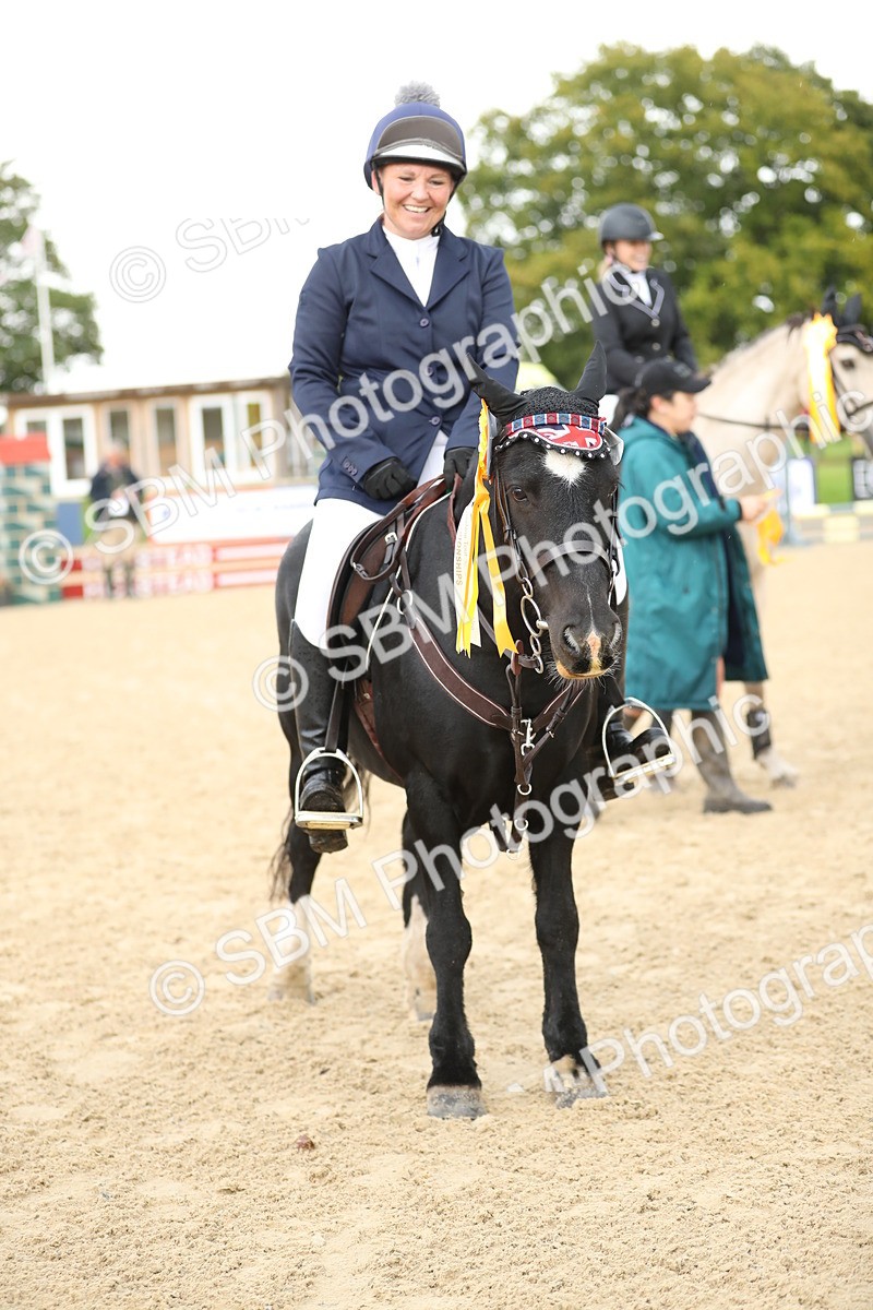 SBM_01062 - J27 - Senior Horse & Pony 50cm Championships