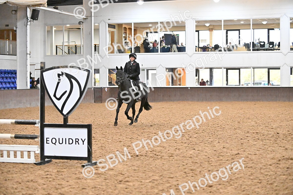 SBM_002981 - Class 37,38 - UKPSAF Performance Horse & Pony