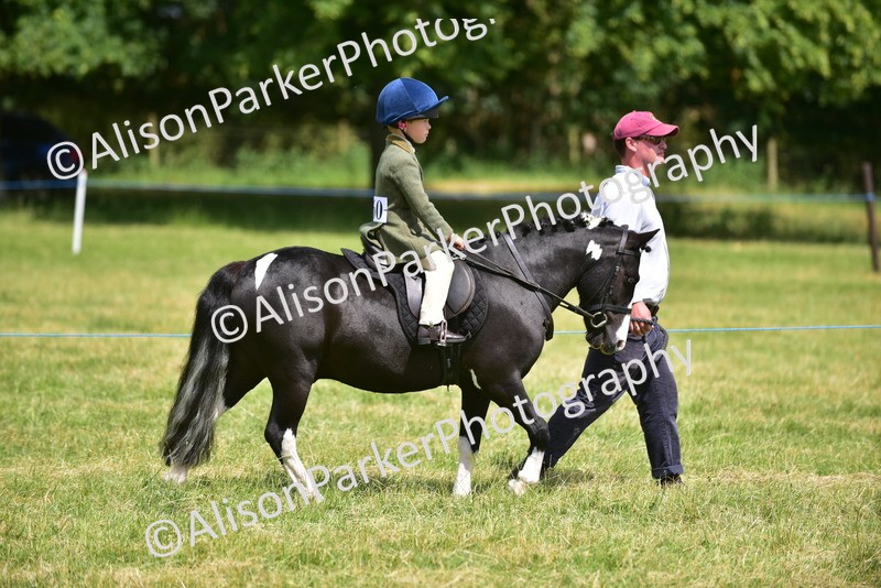 20260614-1352 - Class 11b - Lead Rein Pony (Plaited)