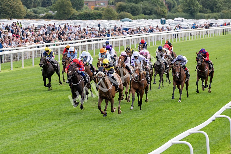 190826-Race 1-Air Force One-0128 - Race 1 13.50pm Hong Kong Jockey Club World Pool Handicap