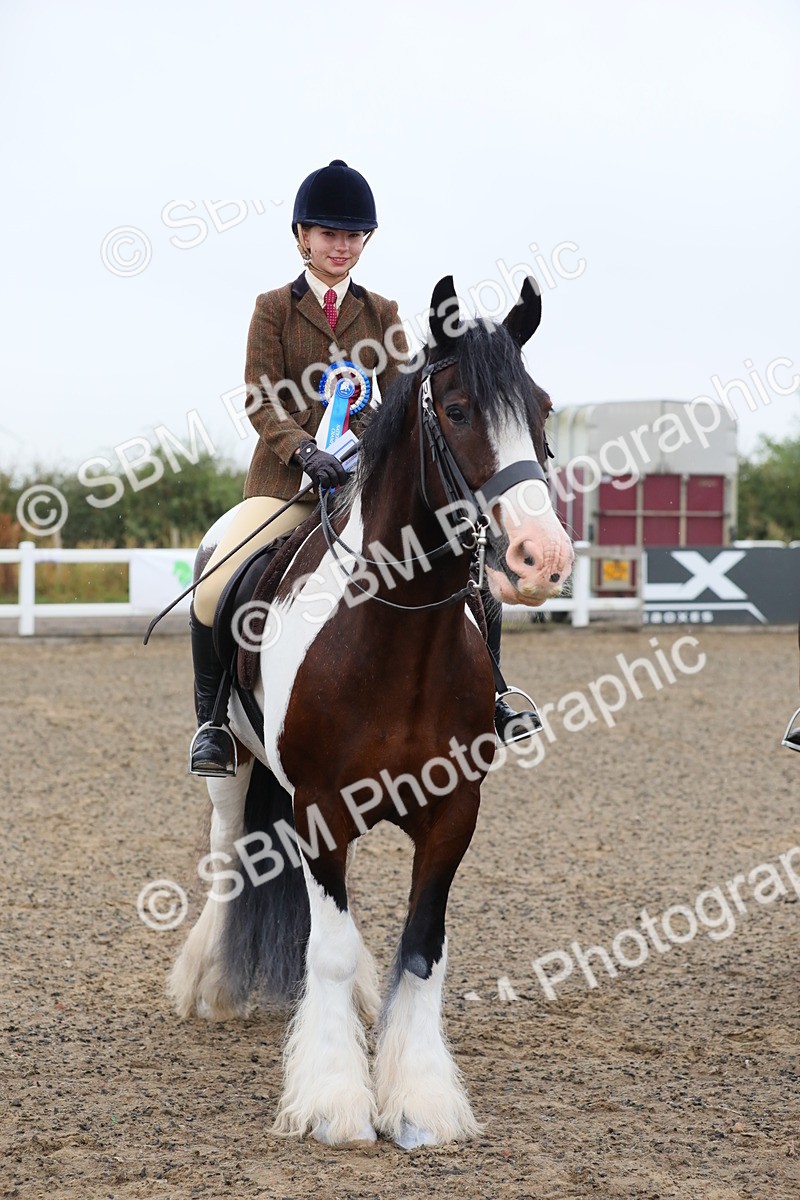 SBM_19963 - Class 801 - Ridden Veteran