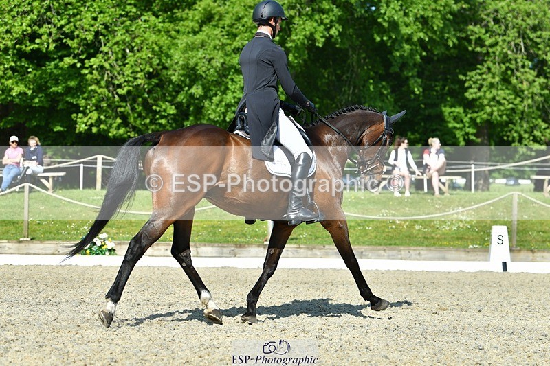 230525-092517-03738 - 405-MATTERHORN_RISING-Arthur_Duffort-DR