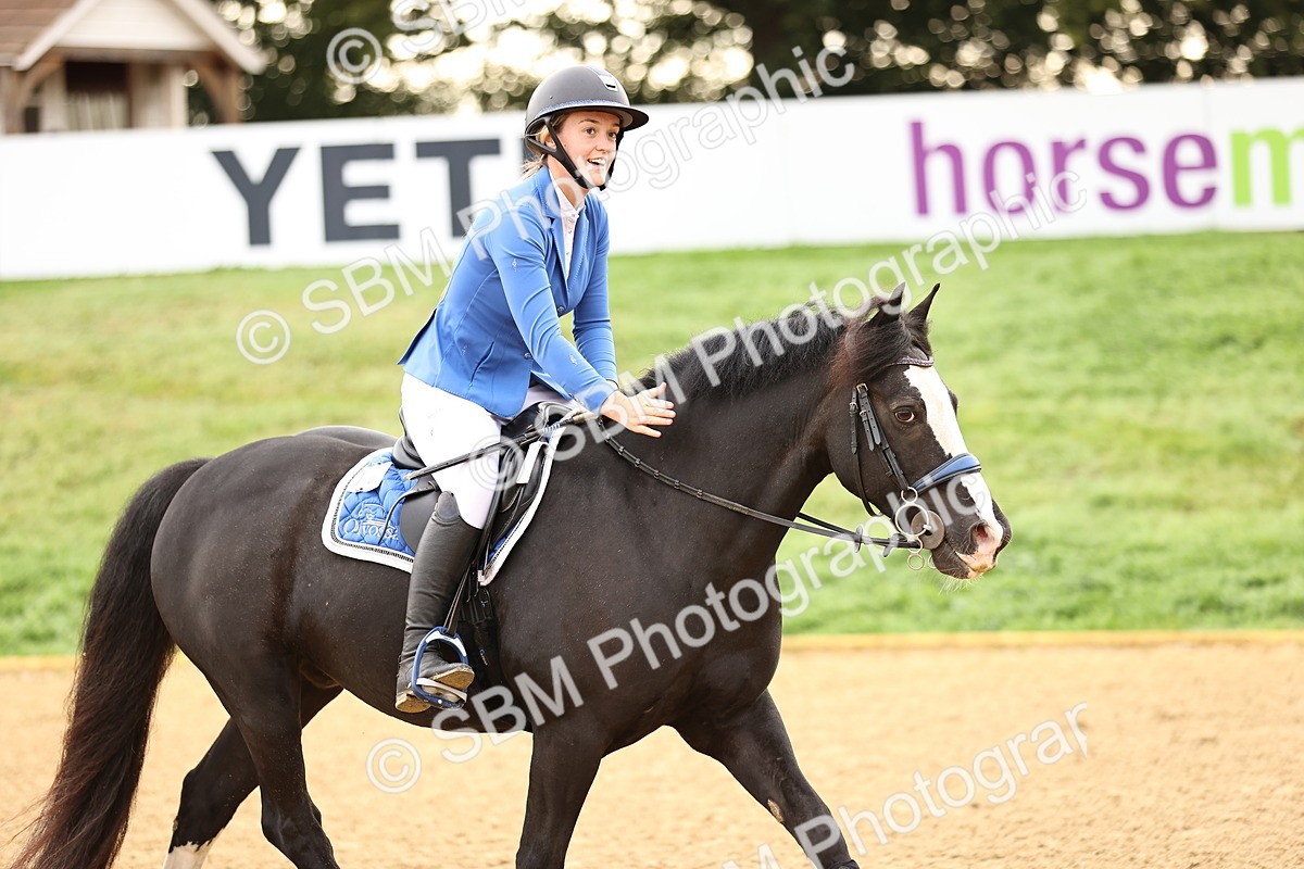 SBM_58276 - J41 - Grand Tour Horse & Pony 95cm