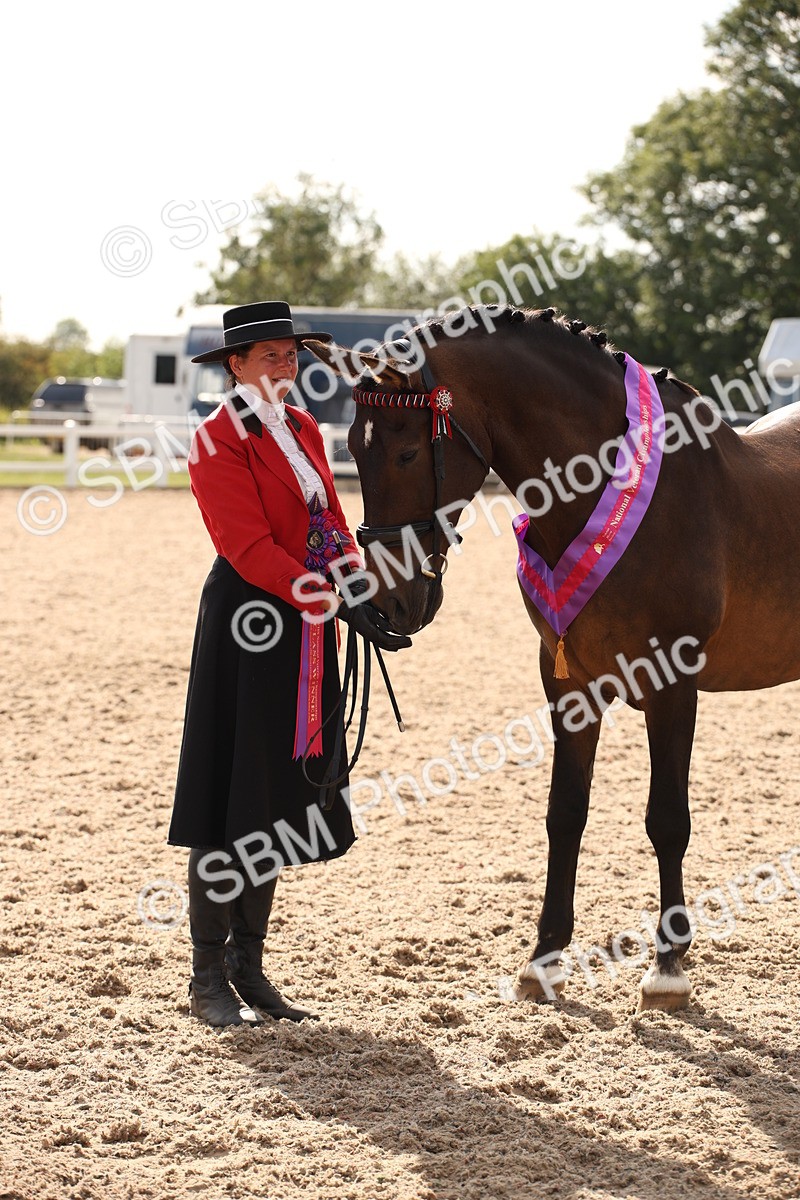 SBM_07439