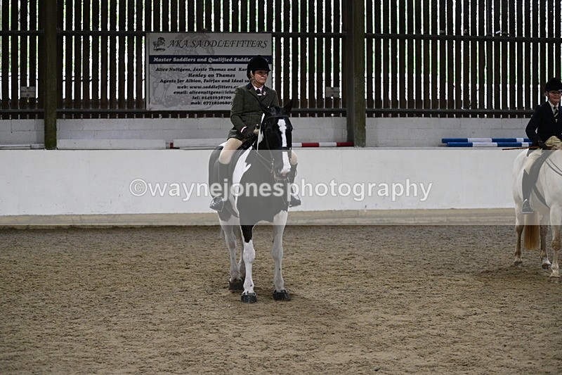 WJ7_3699 - Class 16 Ridden Coloured/ Odd Coloured