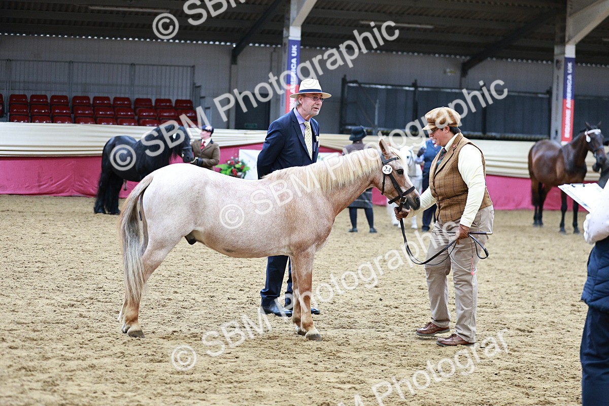 SBM_00958 - Class 2A - Area IH Veteran