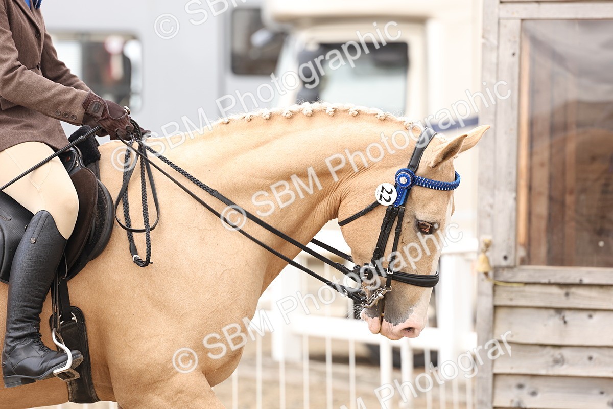 SBM_04167 - Class 54 - Riding Club Horse/Pony