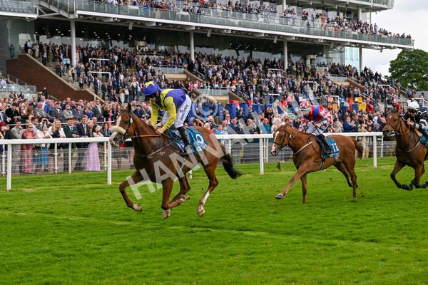 140624-Race 5-Ron O-4868 - Race 5 4.10pm Juddmonte EBF Fillies Restricted Novice Stakes