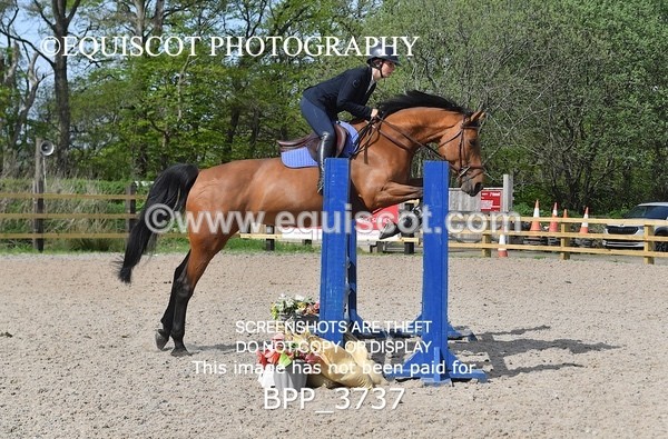 BPP_3737 - CLASS 2 Club/ Unaffiliated 80cms Open