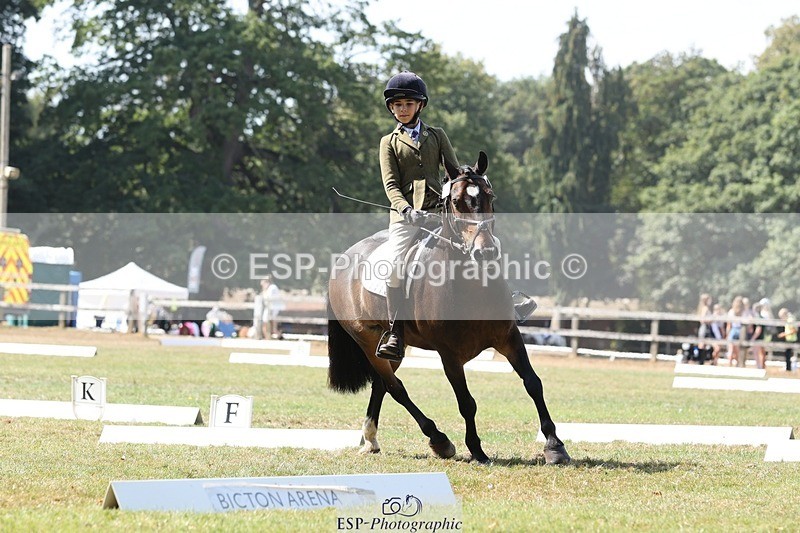 250823A-123158-29814 - Arena C