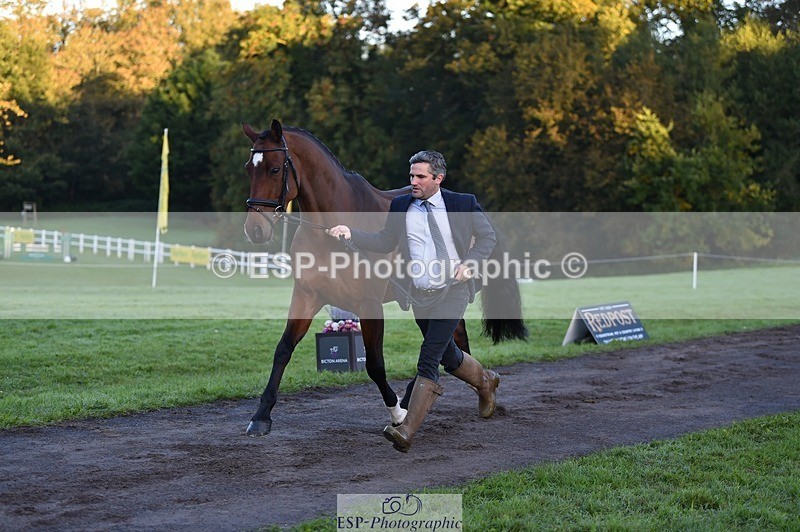 231022-083902-21275 - 683-ALVESCOT.FIVE.STAR-Mark.Ford-TrotUp+SJ