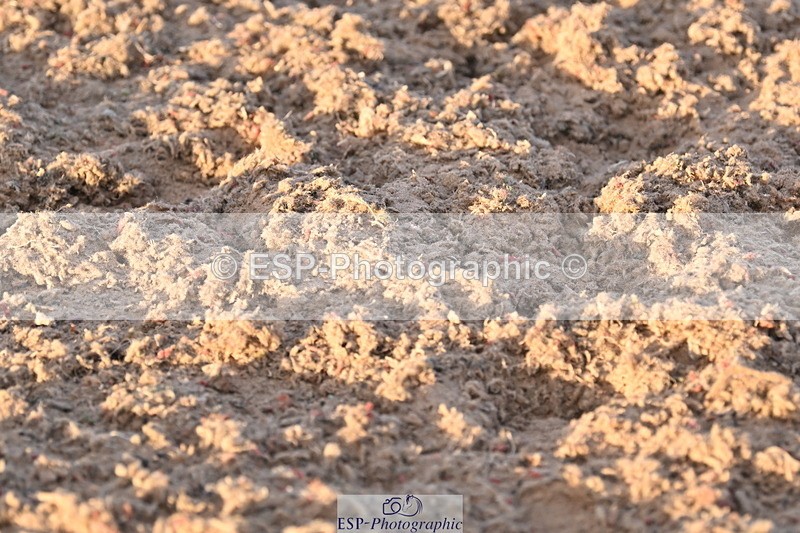 240628A-203352-02041 - Cls 7 Graham Heath 128cm + 138cm