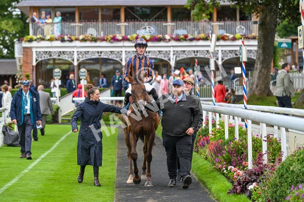 130724-Race 6-Zimmerman-7754 - Race 6 4.50pm John Smith's Stayers' Handicap