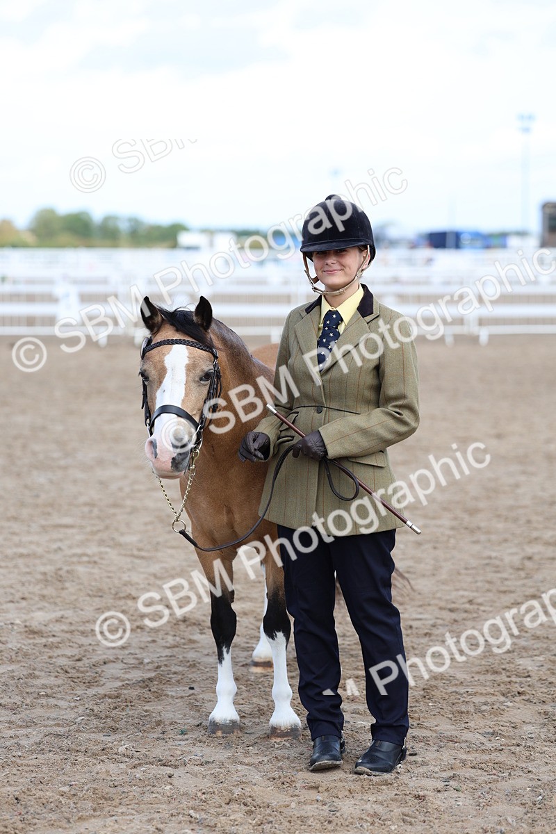 SBM_02399 - Class 19 - Horse or Pony Judge would most like to take home