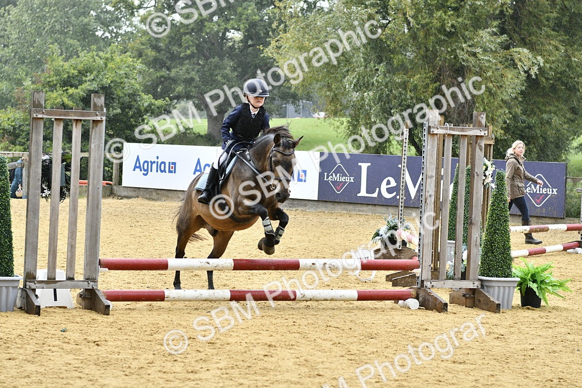 SBM_70872 - J3 - Mini Tour Junior Pony 40cm championship