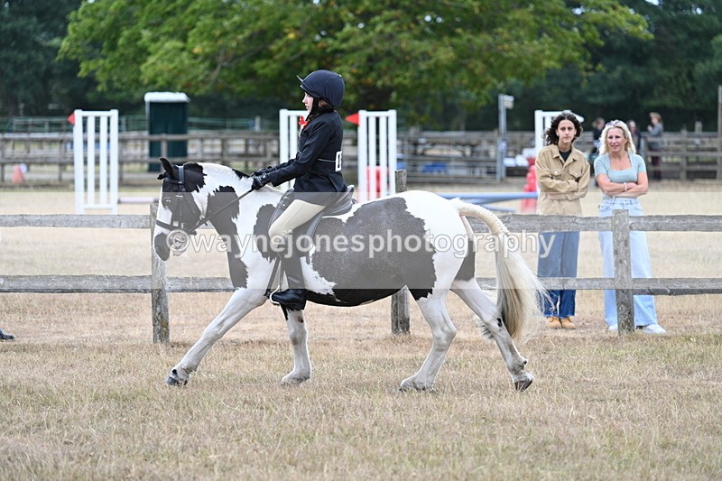 WJ7_7296 - Class 2 Best Rider