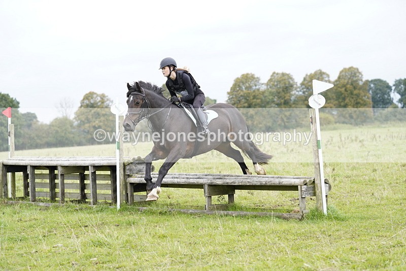 _DSC7591 - Time at Photographer 11:24 to 11:55