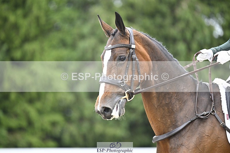 240523-153251-05245 - 436-IRENE_LEVA-Susie_Berry