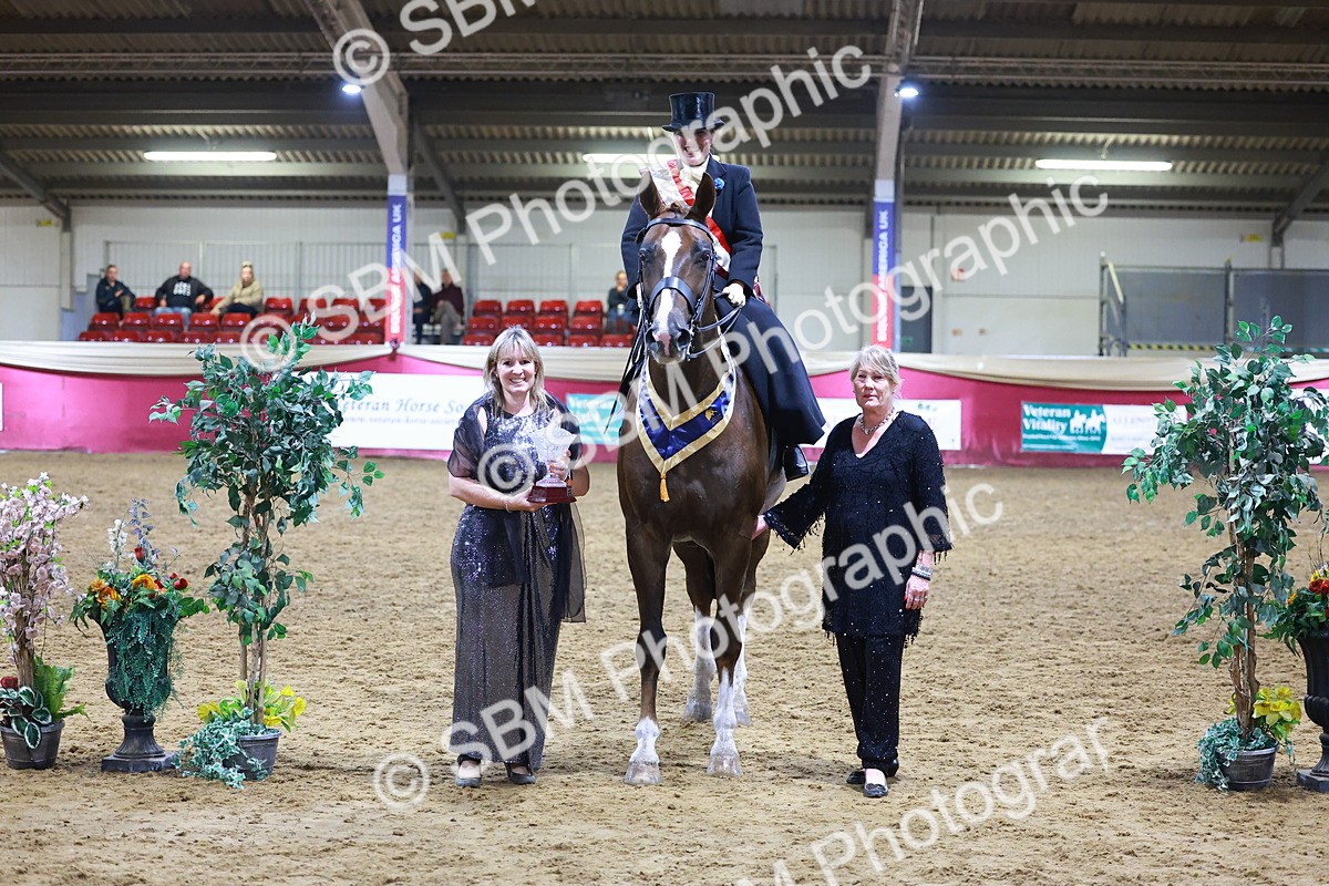SBM_15034 - Class N - Side Saddle Champ