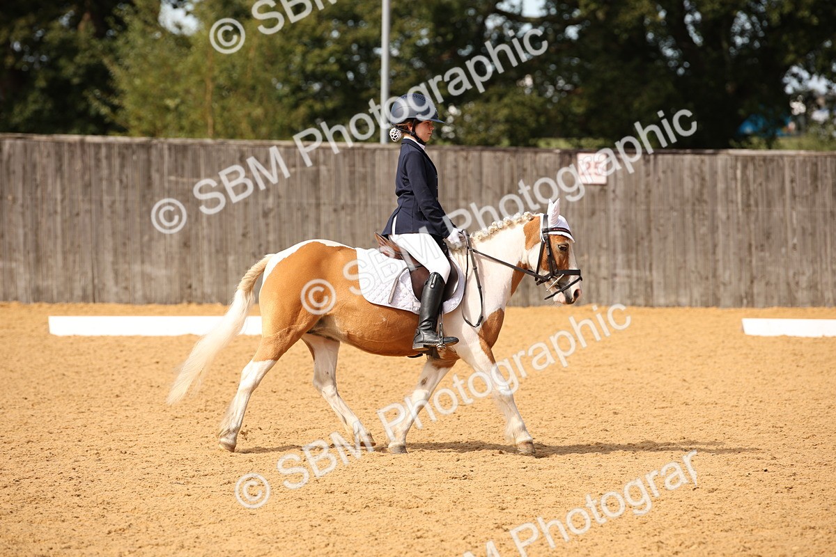 SBM_21808 - D5 - Small Tour Championship - Intro C