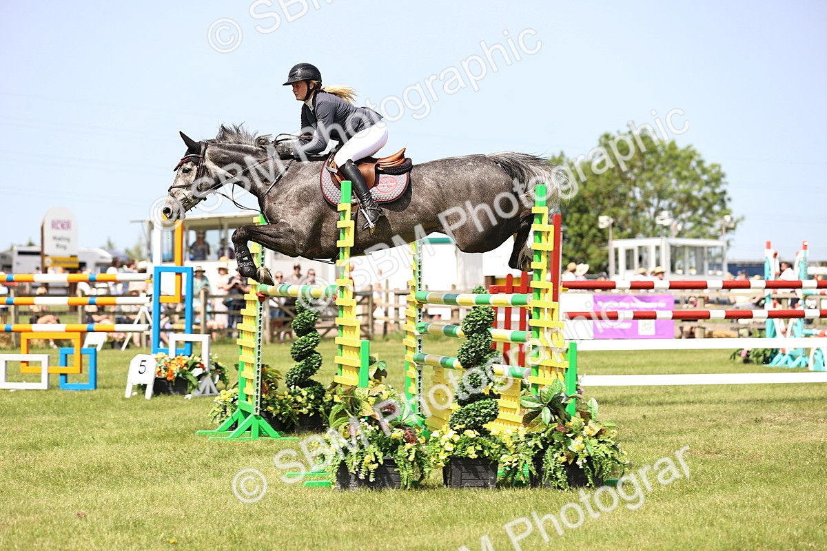 SBM_03229 - Class 201 - British Horse Feedds Speedi Beet HOYS Grade C