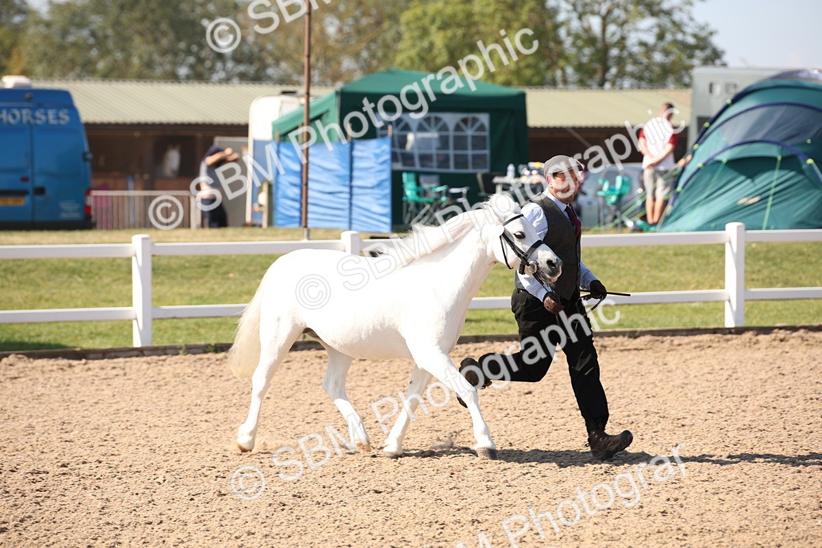 SBM_02682 - Class 16 IH M&M Wildcard