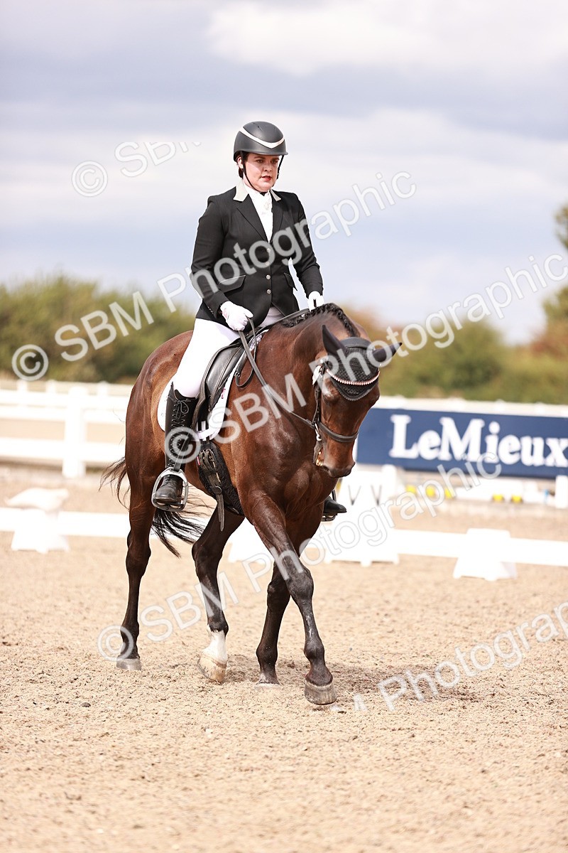 SBM_06283 - Class 37 - Novice 5