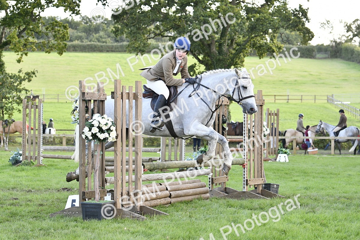 SBM_52144 - S35 - Working Hunter & Working Show Horse