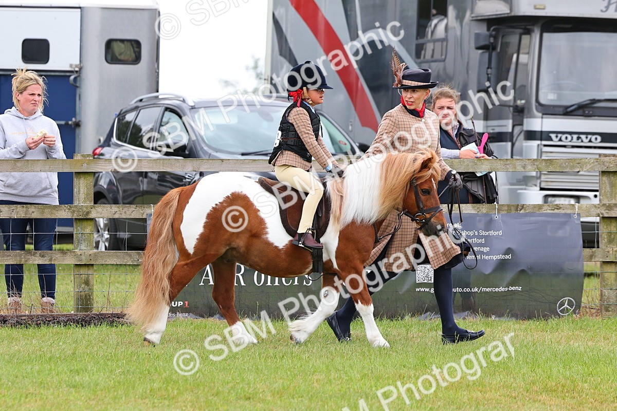 SBM_08232 - Class 42-43 - LIHS BSPS Heritage Working Sports Pony