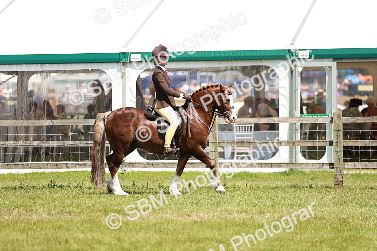 SBM_15768 - Class 108-109 - BSPS LIHS Open Gradle & Nursery Stakes