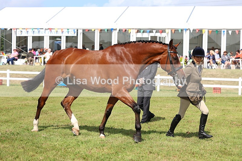 3E7A9570 - Class 4: Rising Star M/H Hunter