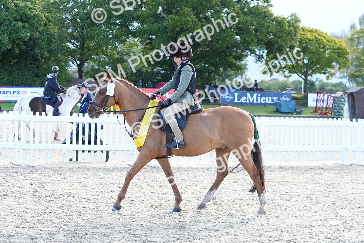 SBM_36414 - J5 - Junior Pony 50cm Championship