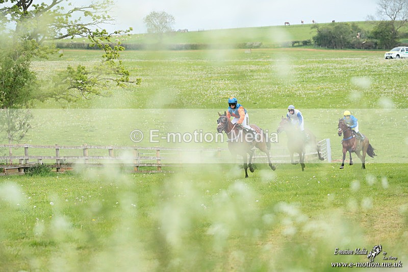 PtP 040526 486 - Mollington Point-to-Point 04/05/26
