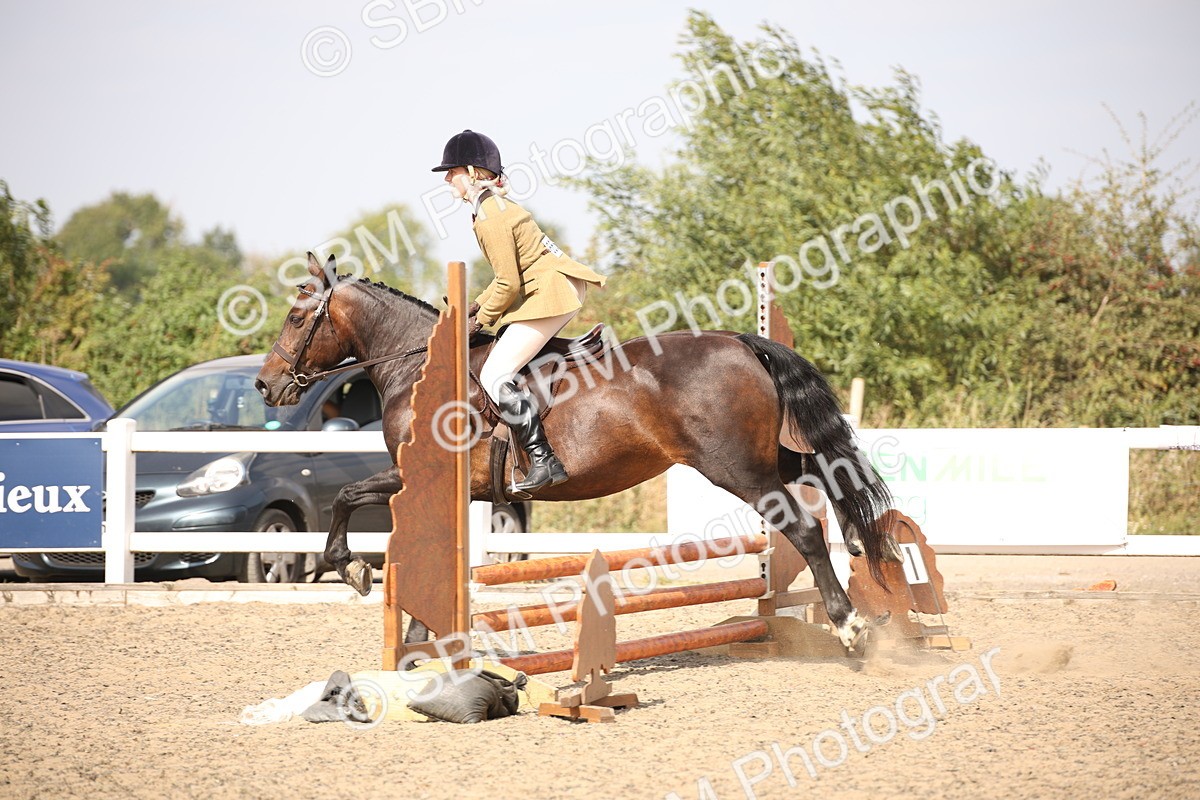 SBM_15055 - Class 408a - Working Veteran 70cm (15-19