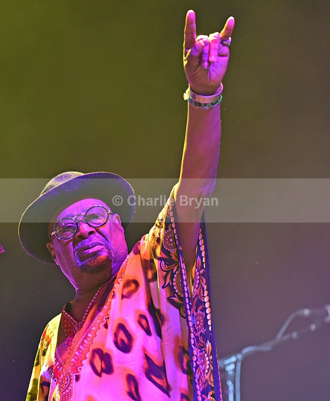 George Clinton  Parliament Funkadelic - Womad 2016