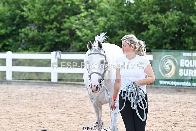 240717A-163809-03462 - Trot Up 4pm to 5pm