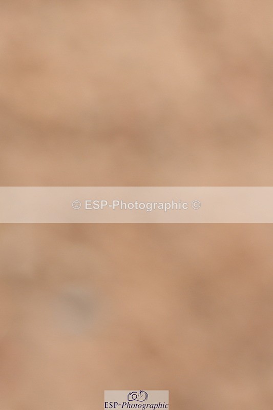 240121A-120101-00704 - Cls 7+8 Elementary 45 and 59