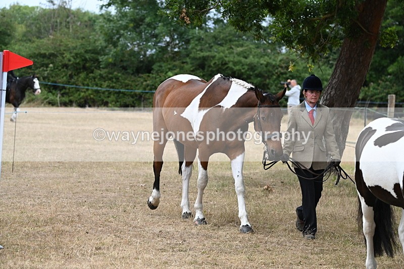 WJ6_7933 - Class 10 Coloured in Hand