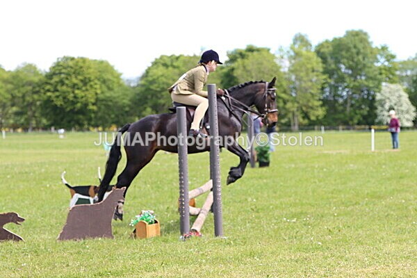 IMG_3137 - Working Hunter