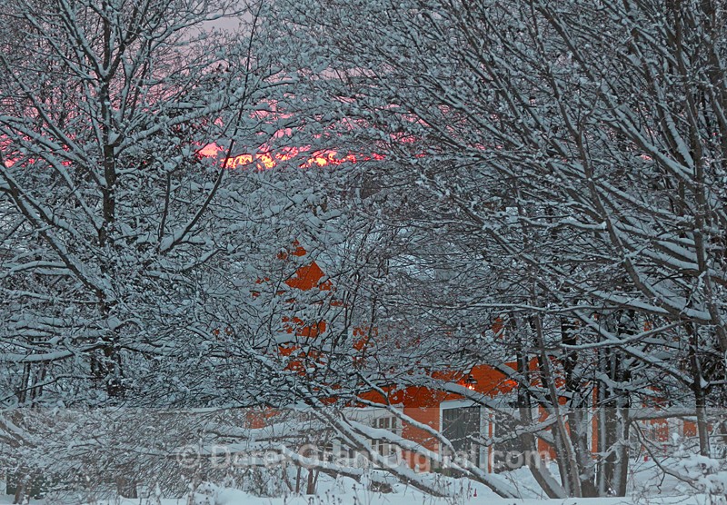 Winterscape - Winterscape