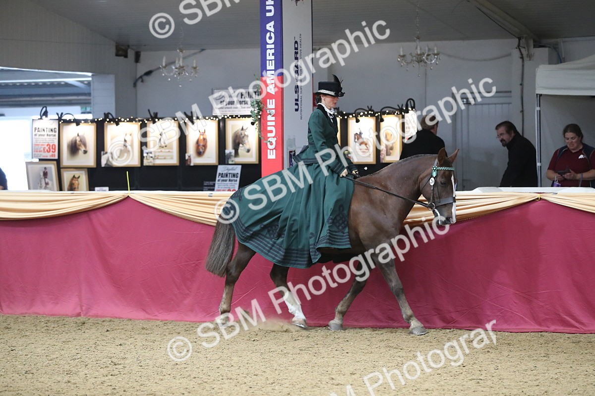 SBM_12106 - Class 107 Ridden Costume- Astride Adult (20+)