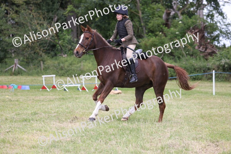 20260614-2738 - Class 22 - Open Working Hunter